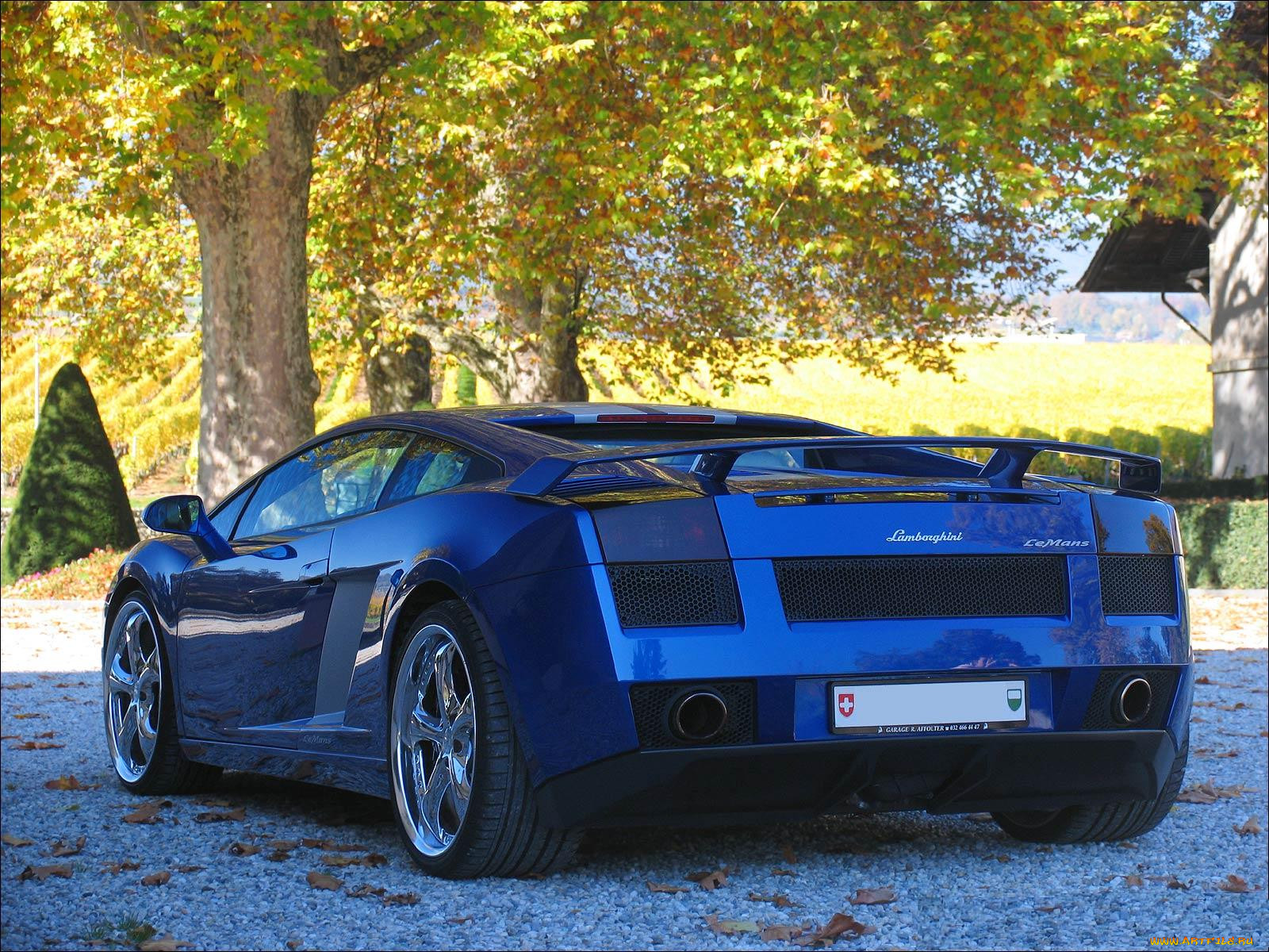 lamborghini, gallardo, 